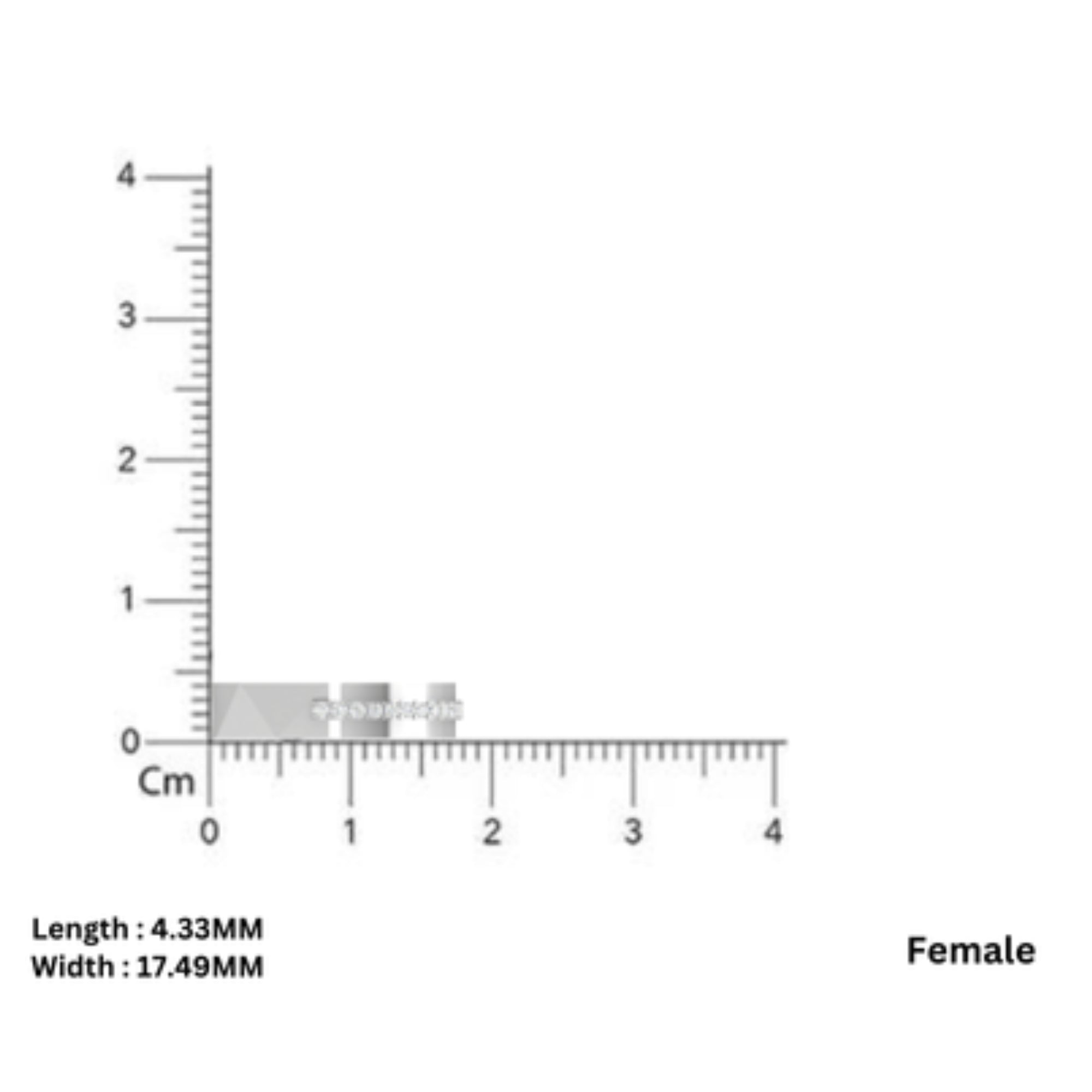 Rose Gold Couple Band Ring Set