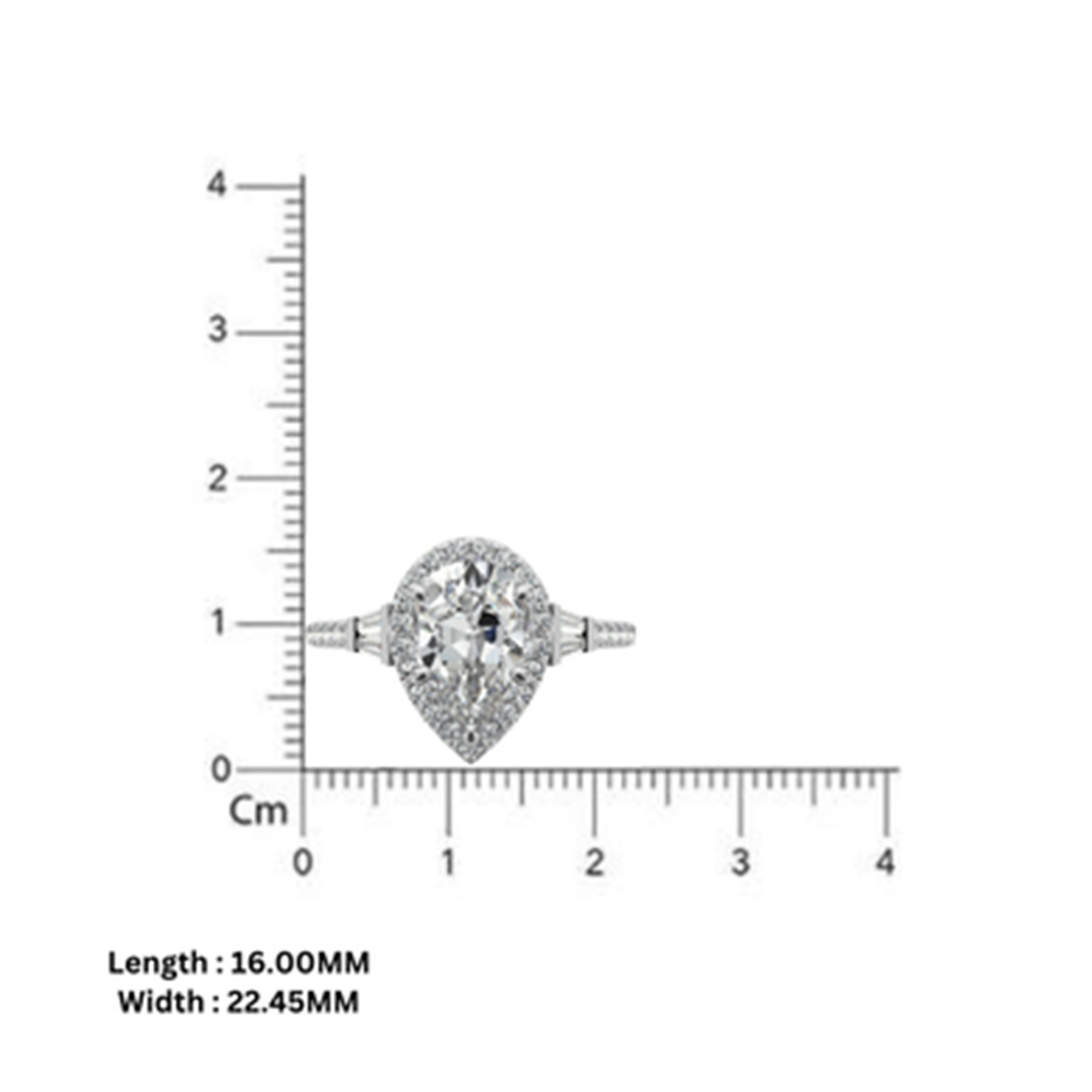 Silver Sofia Radiance Ring