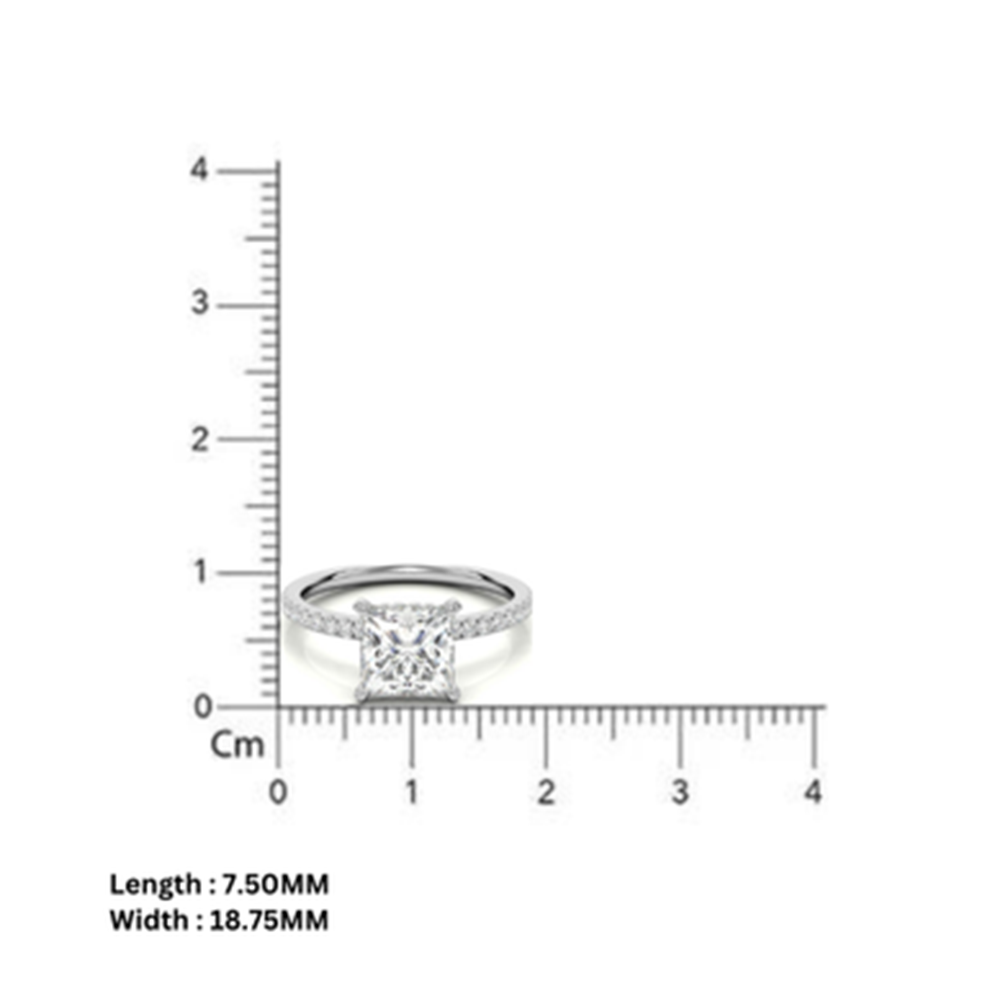 Silver Padme Promise Ring