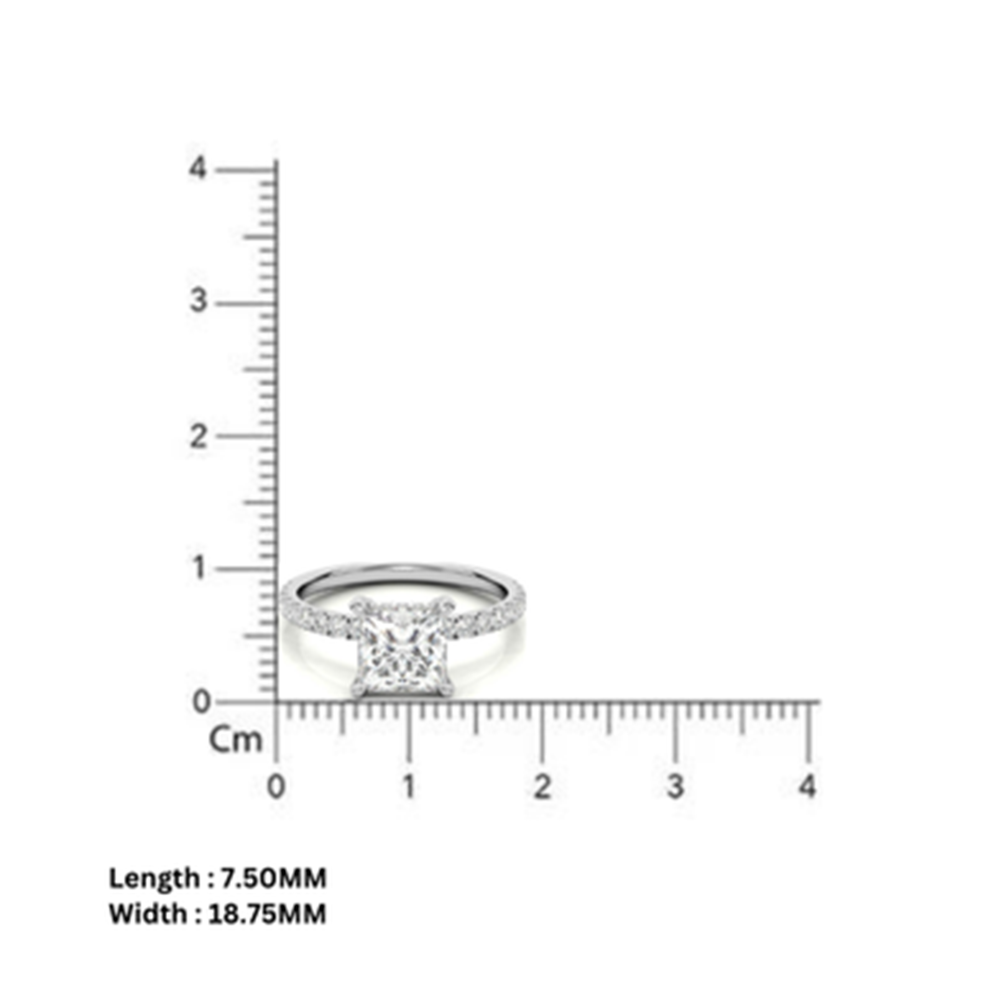 Silver Eowyn Valor Ring