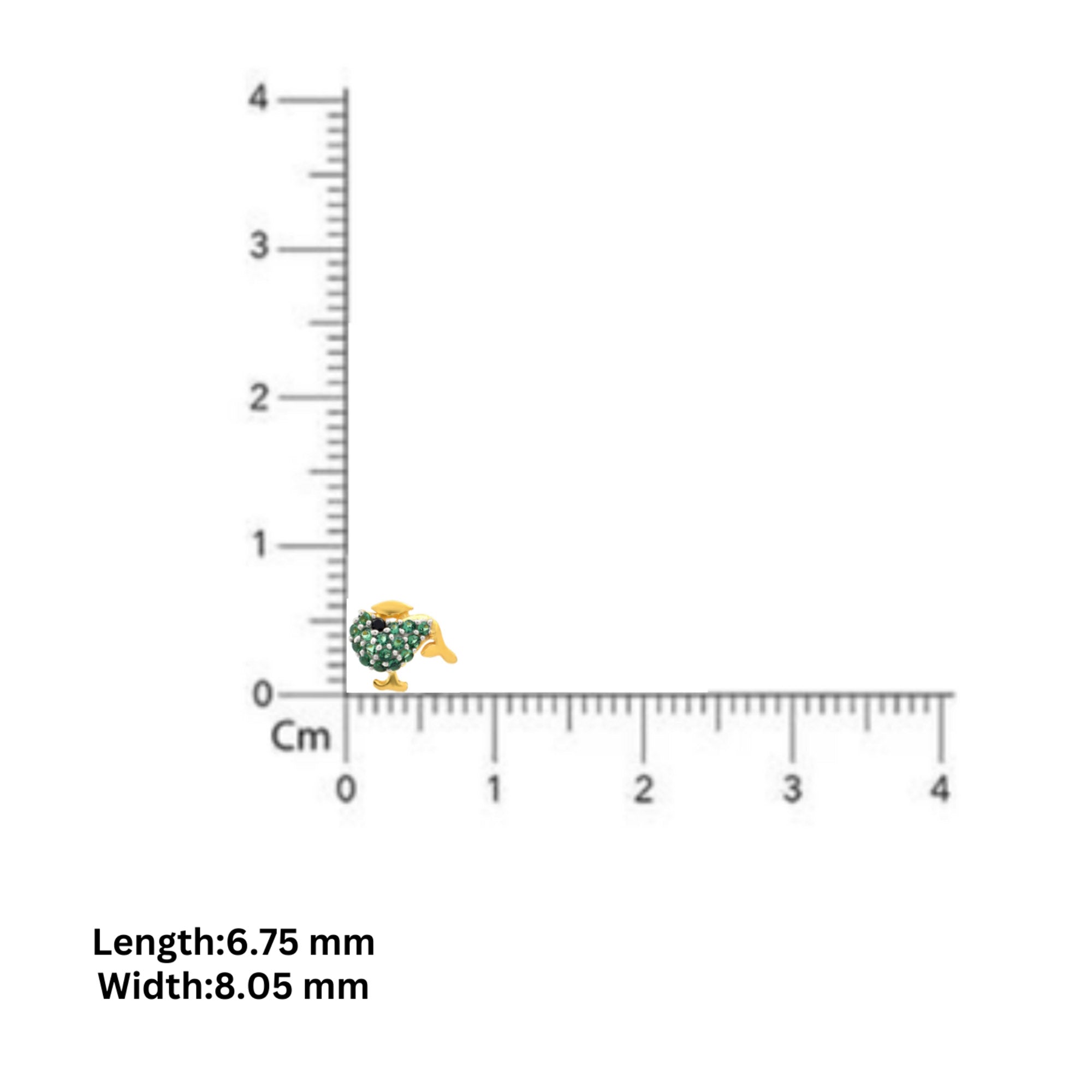 Charming Dolphin Earrings for Girls