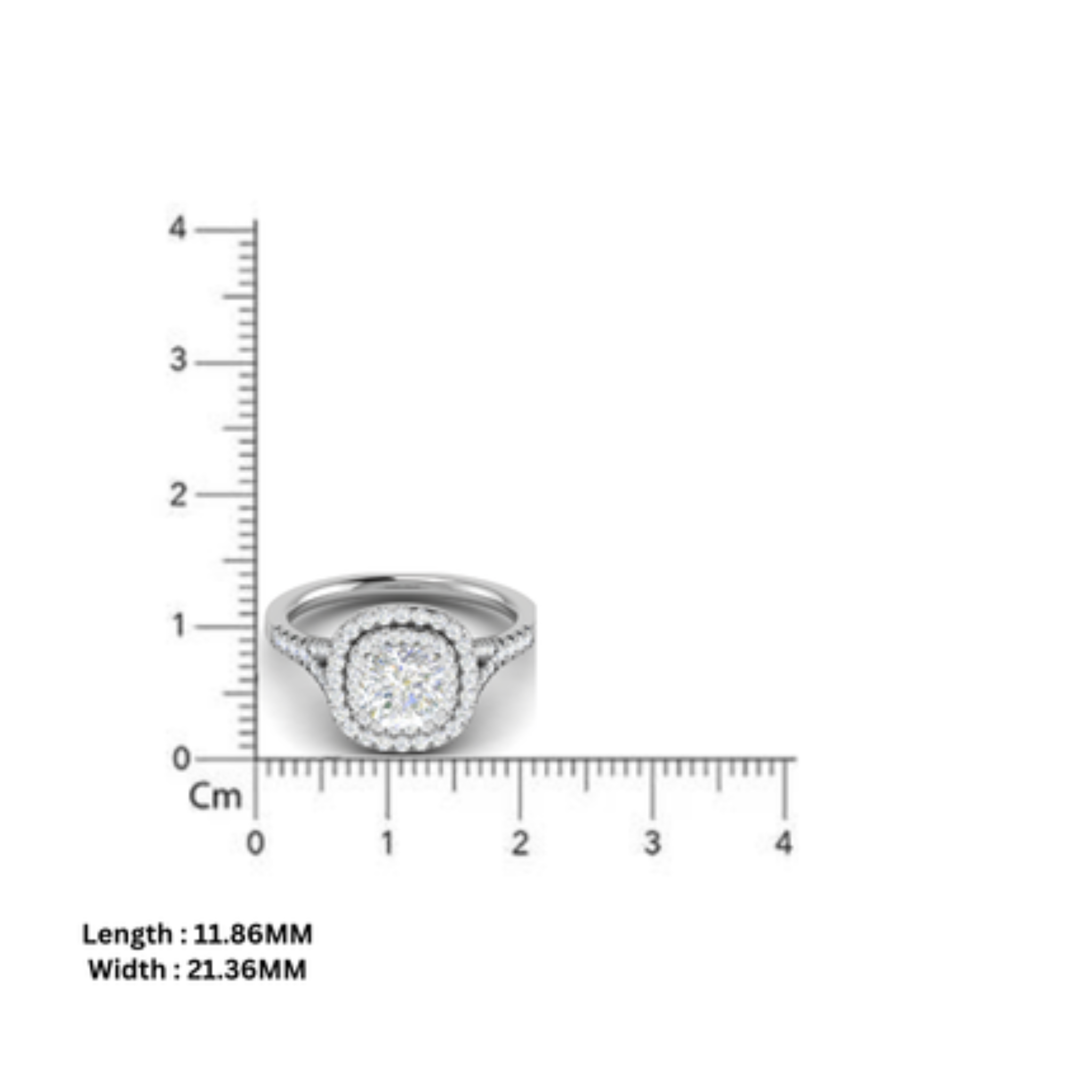 Double Halo Engagement Diamond Ring