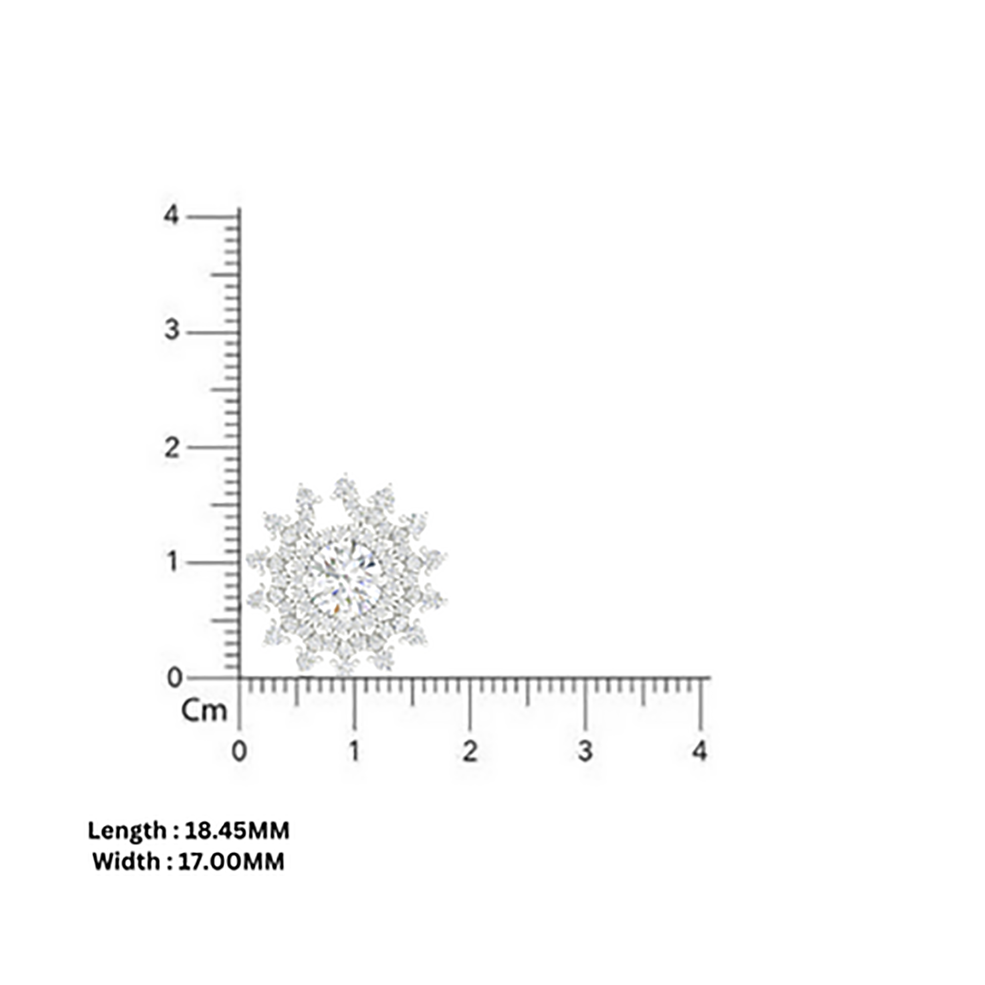 Floral Stud Earrings in Sterling Silver