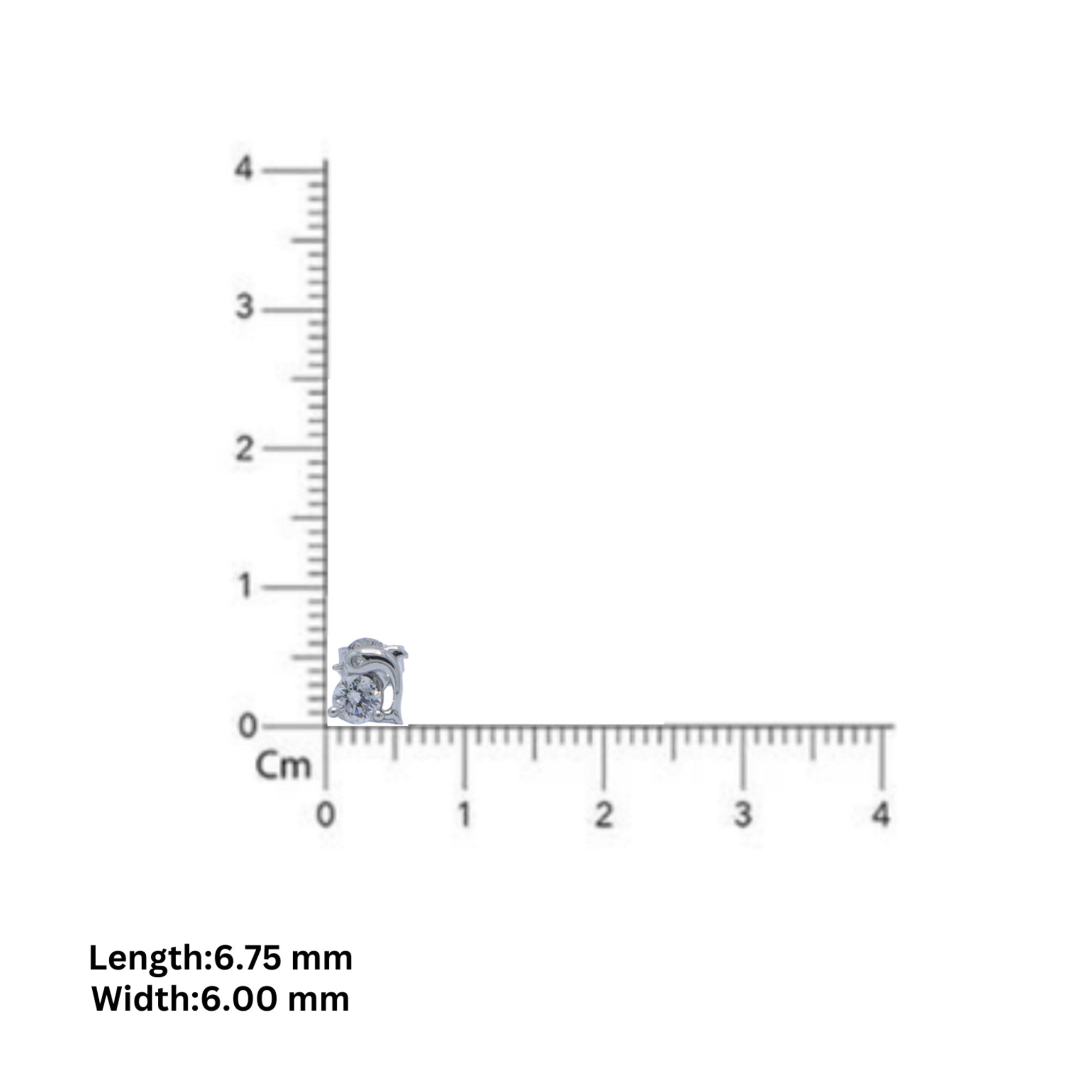 Cute Dolphin Stud Earrings