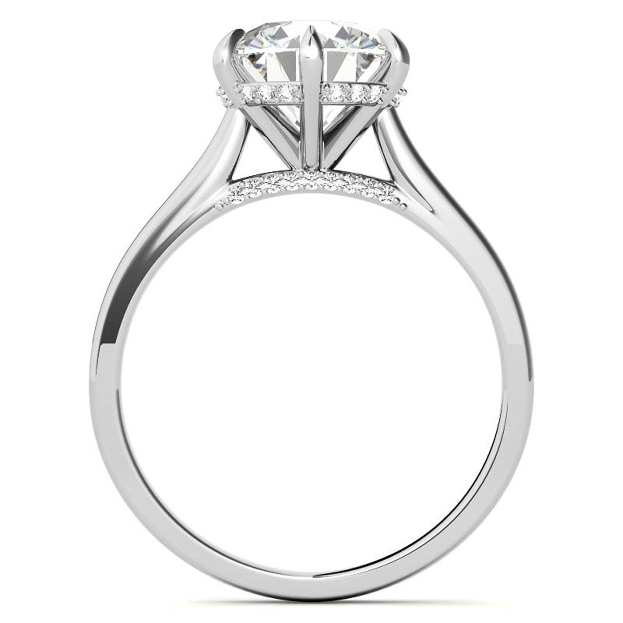 Hidden Halo White Gold Plated Ring